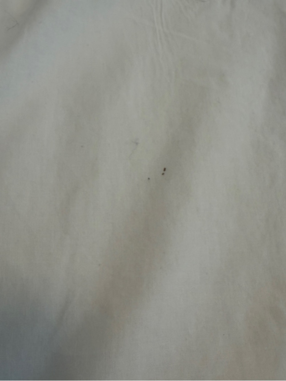 Gerry Weber White Blouse Short Sleeve Button Front Minimalist Classic Top XL - Picture 5 of 5